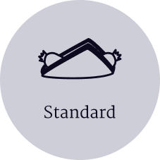 Standard icon